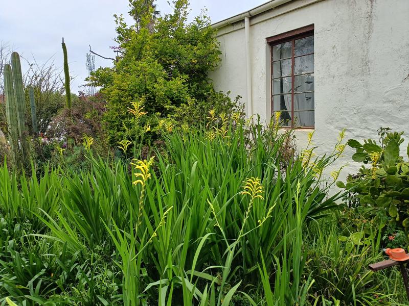 3 Bedroom Property for Sale in Darling Western Cape